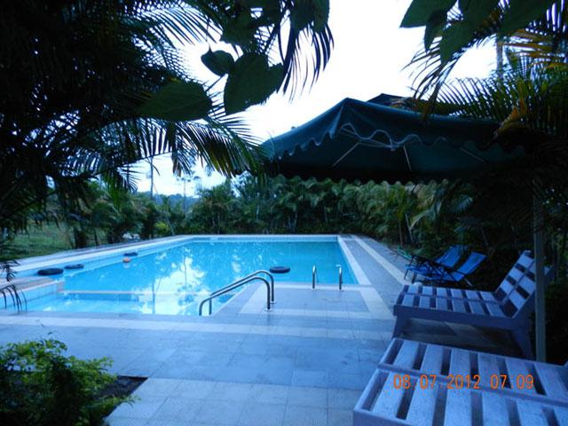 Silver Oaks Cottages photo 7