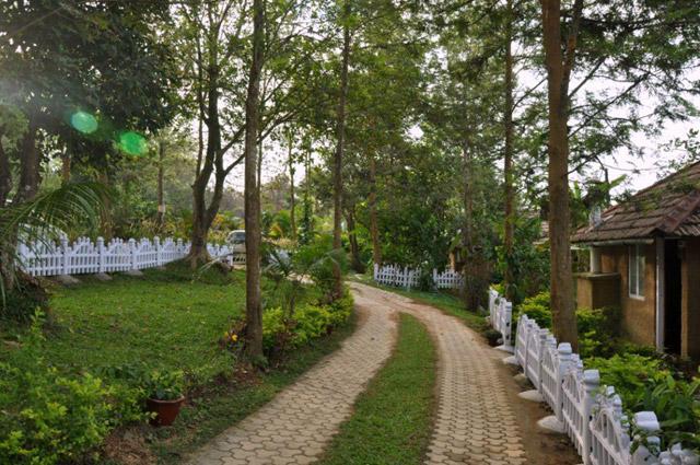Silver Oaks Cottages photo 8