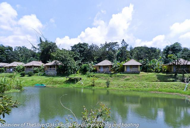 Silver Oaks Cottages photo 13