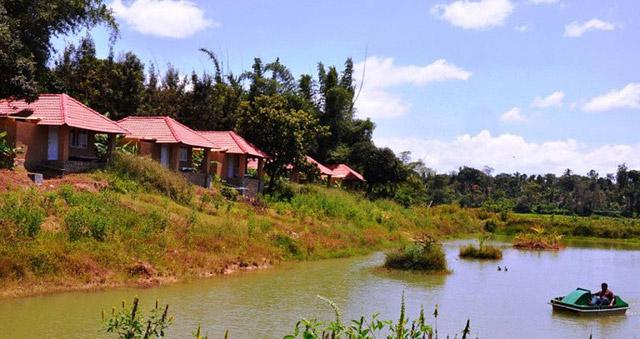 Silver Oaks Cottages photo 15
