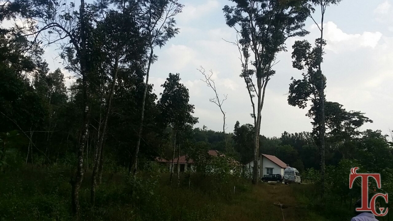Siri Home Stay photo 55