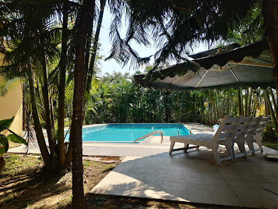 Silver Oaks Cottages photo 21