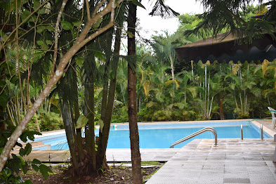 Silver Oaks Cottages photo 23