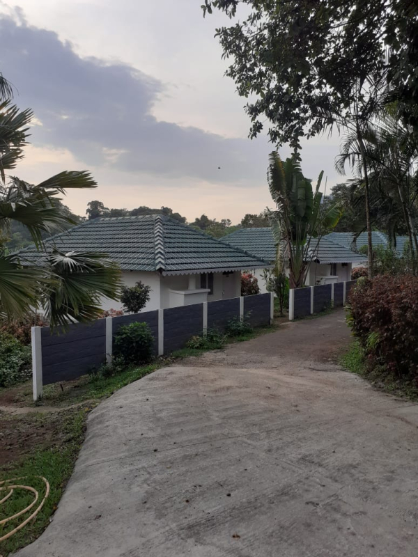 Silver Oaks Cottages photo 26