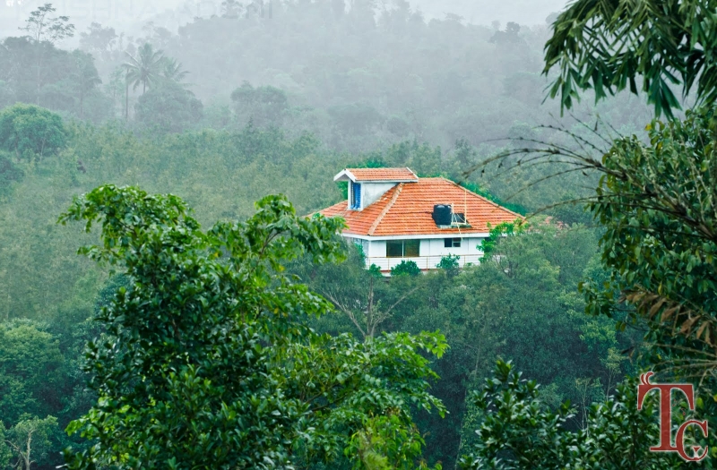 Cloud Alley Homestay photo 5