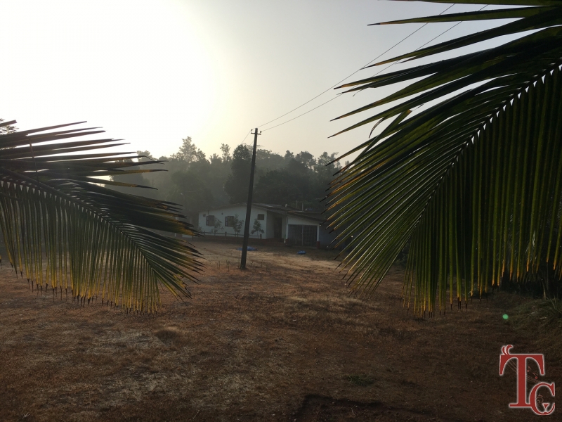 Cloud Alley Homestay photo 8