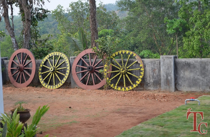 Highlands Homestay photo 6