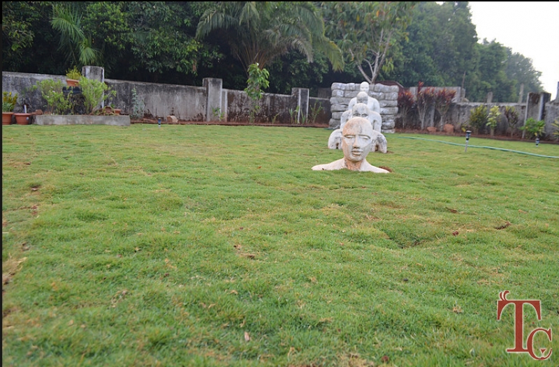 Highlands Homestay photo 9
