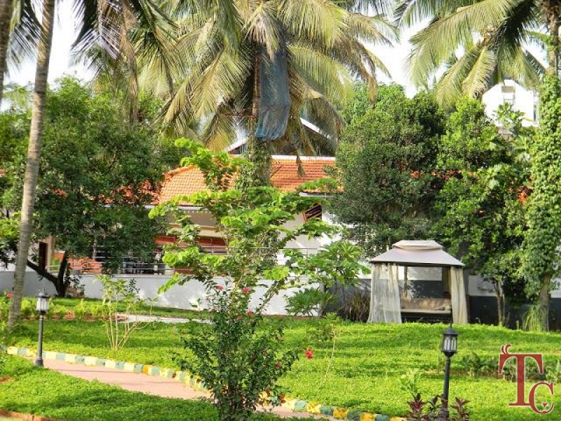 Tinton River Palms Resort photo 14