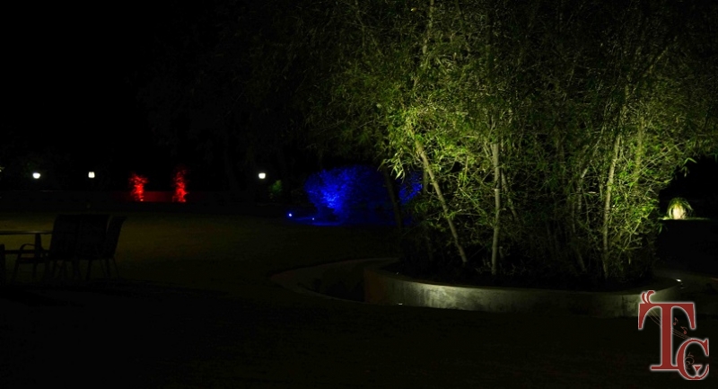 Tinton River Palms Resort photo 26