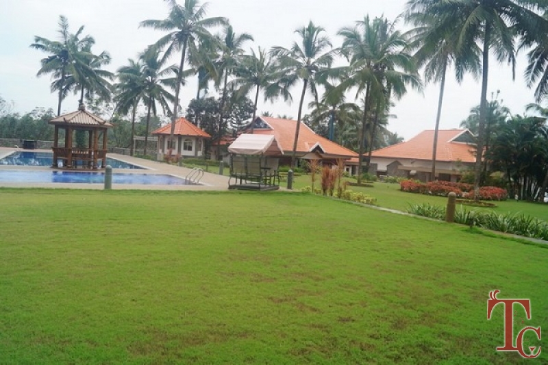 Tinton River Palms Resort photo 33