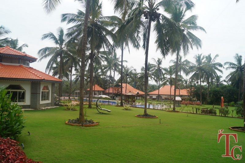 Tinton River Palms Resort photo 42