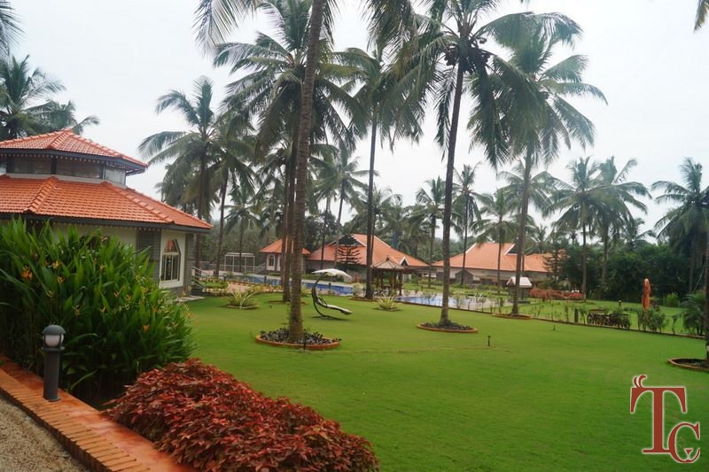 Tinton River Palms Resort photo 48