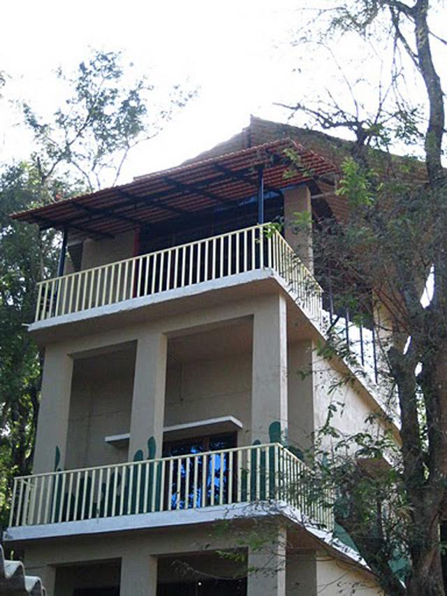 Jungle Camp Resort photo 3