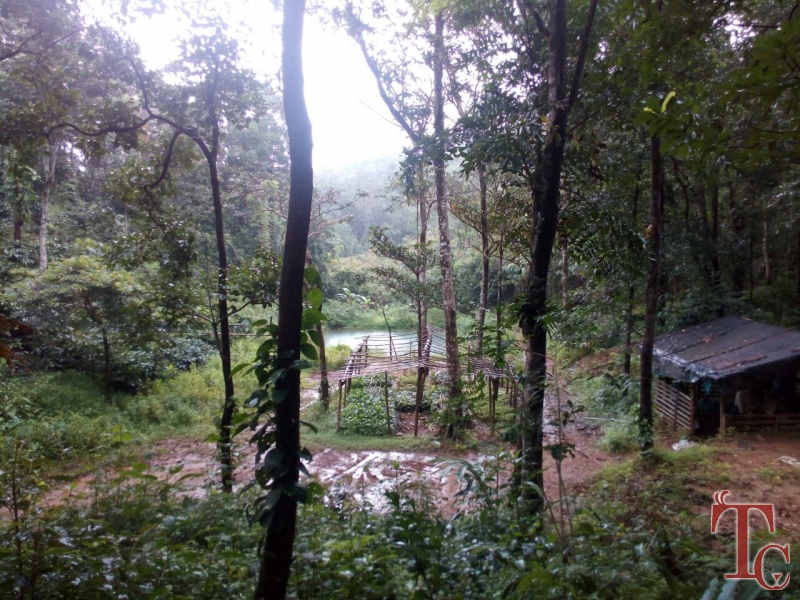 Canopy Green Estate Homestay photo 13