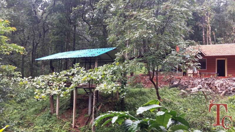 Canopy Green Estate Homestay photo 15