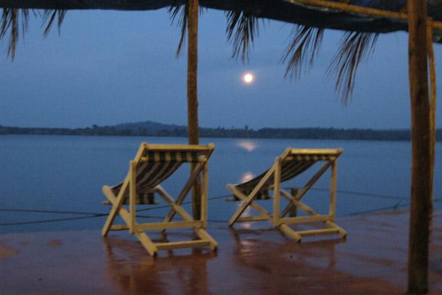 Jungle Camp Resort photo 6