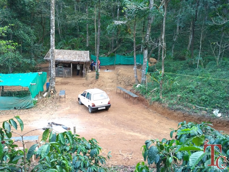 Canopy Green Estate Homestay photo 26