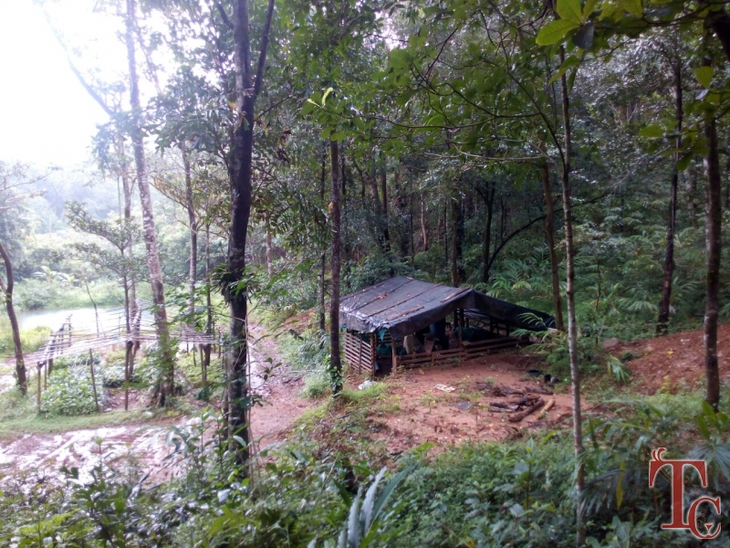 Canopy Green Estate Homestay photo 28