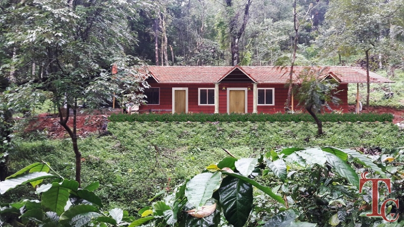 Canopy Green Estate Homestay photo 40