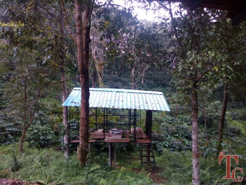 Canopy Green Estate Homestay photo 42