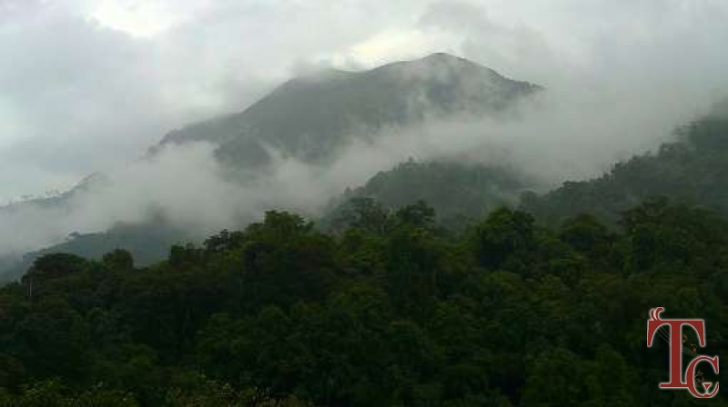 Brindavan Homestay photo 12