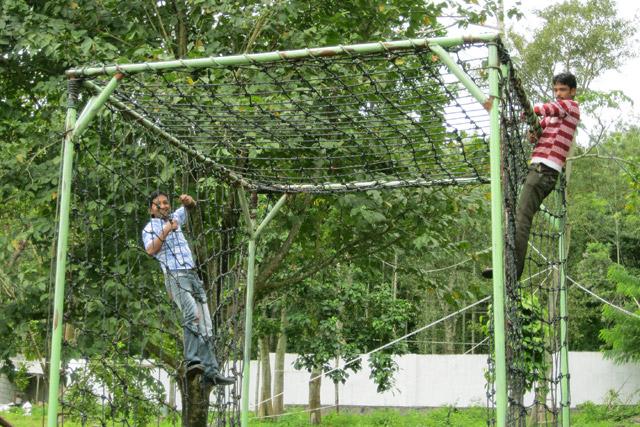 Jungle Camp Resort photo 11