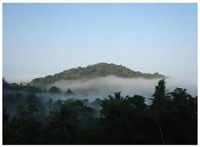 Kalgreen Valley Resort photo 21