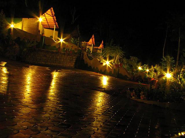 Jungle Camp Resort photo 13