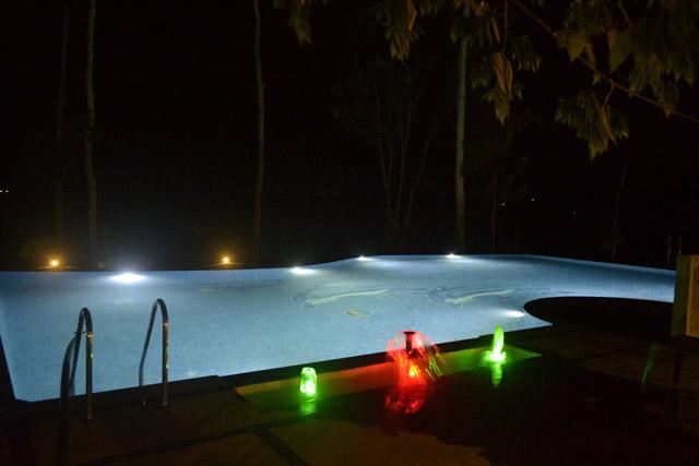 Jungle Camp Resort photo 15