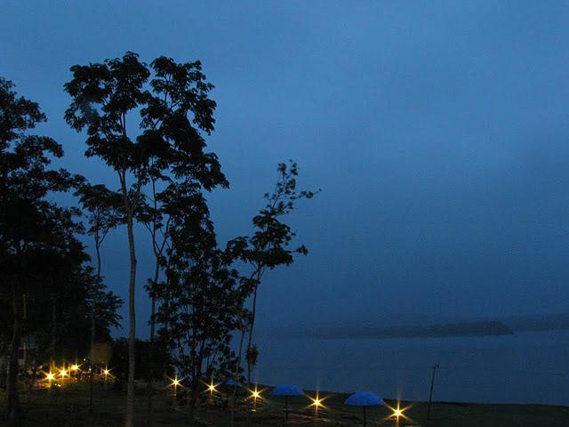 Jungle Camp Resort photo 16
