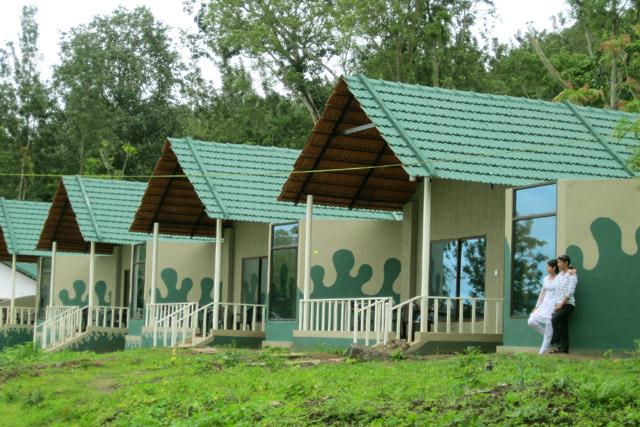Jungle Camp Resort photo 17