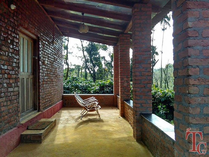 Golden Wood Homestay photo 4