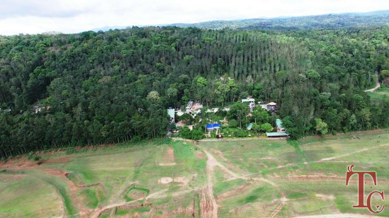 Jungle Camp Resort photo 20