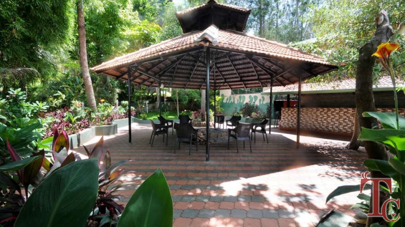 Jungle Camp Resort photo 34
