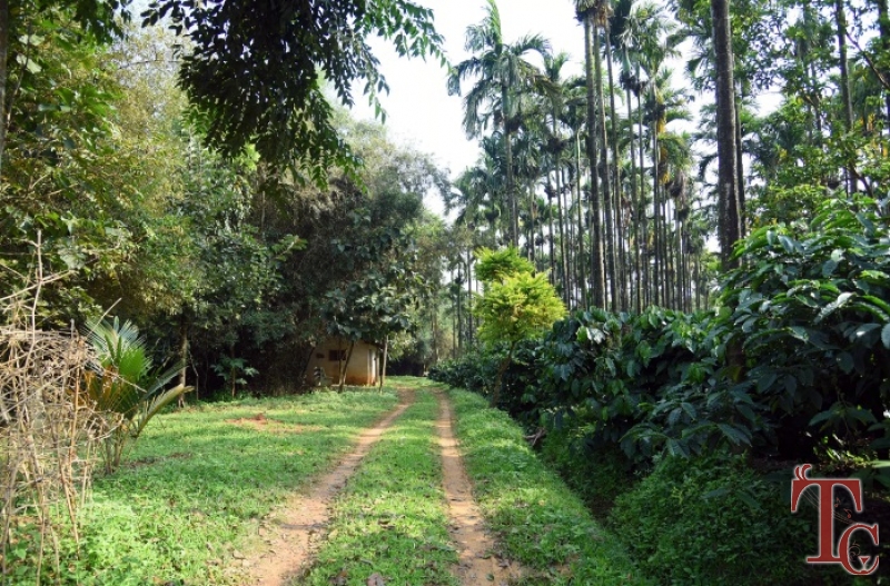 Water Village Homestay photo 9