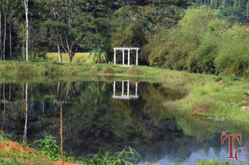 Water Village Homestay photo 17