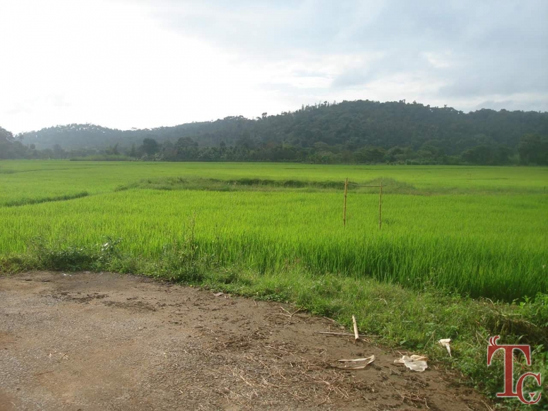 Water Village Homestay photo 34