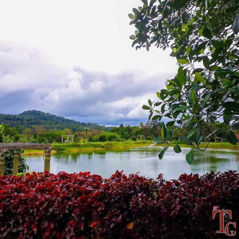 Water Village Homestay photo 42