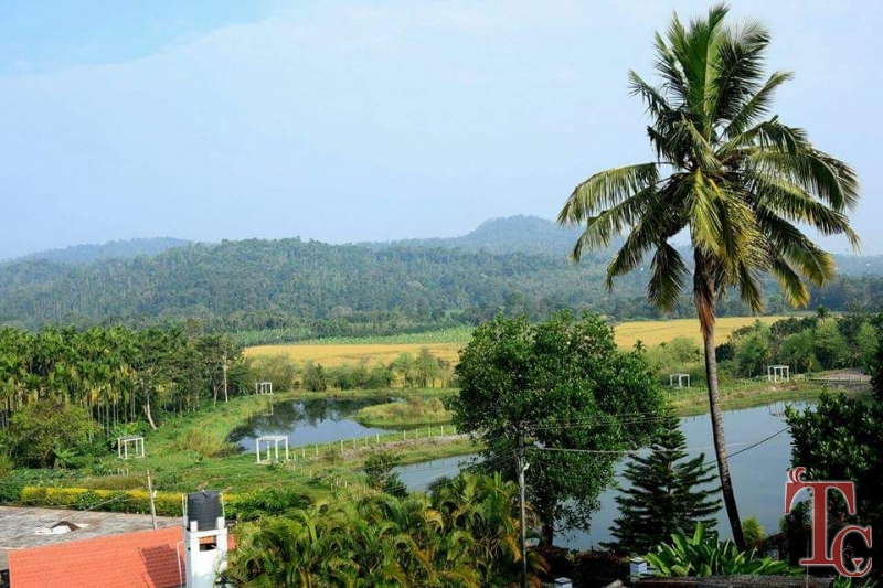 Water Village Homestay photo 47