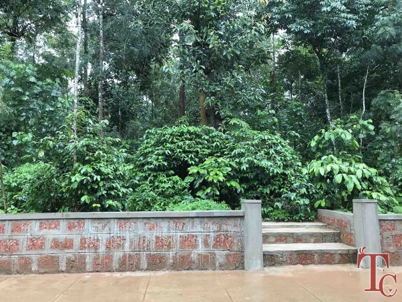 Triwoods Plantation Stay photo 22
