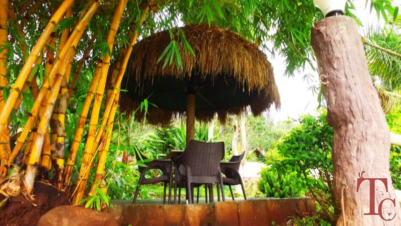 Jungle Camp Resort photo 42