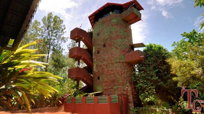 Jungle Camp Resort photo 43