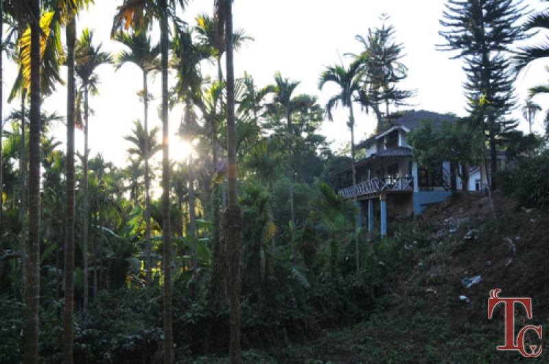 Saaranga Homestay photo 29