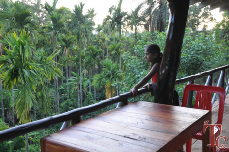 Saaranga Homestay photo 40