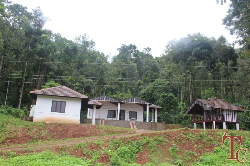 Nenapu Homestay photo 34
