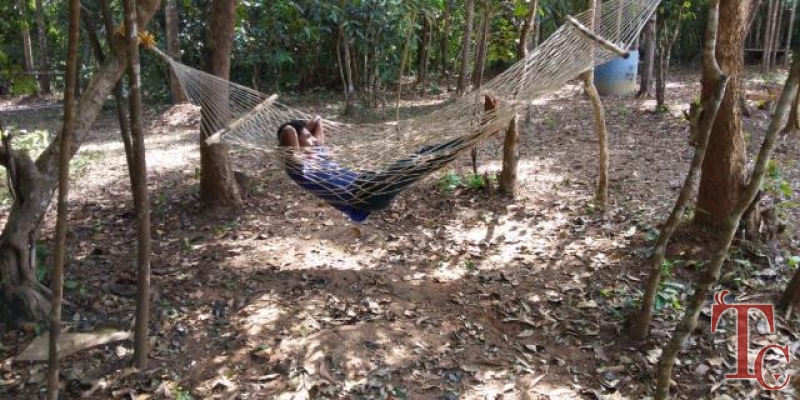 Balagatte Estate Homestay photo 3
