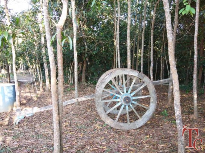 Balagatte Estate Homestay photo 5