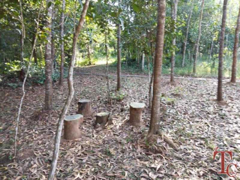 Balagatte Estate Homestay photo 9
