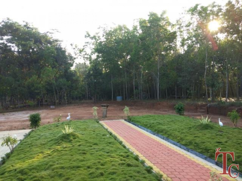 Balagatte Estate Homestay photo 29